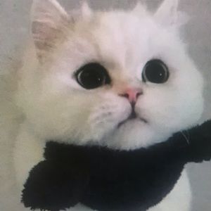 Meet your Posher, Lindsey